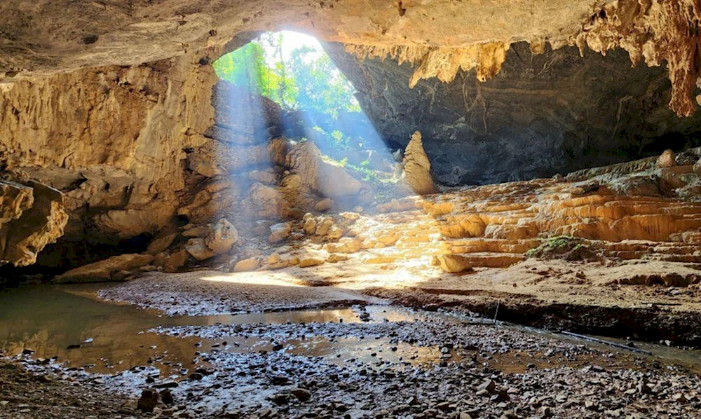 Morning and early afternoon offer pleasant temperatures and better lighting, which enhance visibility and photo opportunities